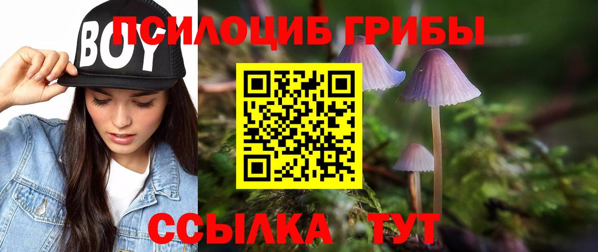 Котовск  Галлюциногенные грибы Psilocybine cubensis  Вход с VPN 